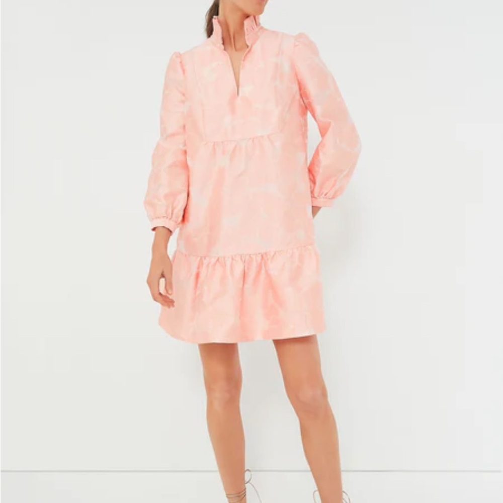 Tuckernuck Pink Ruffle Dress - Picture 2 of 6